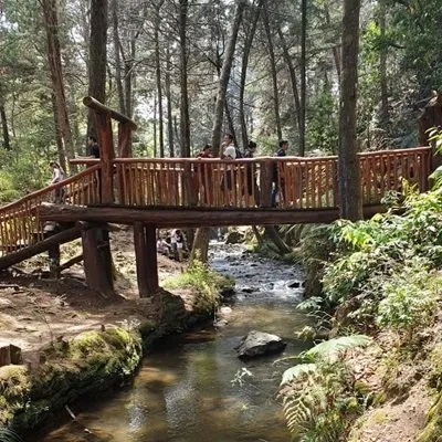 Bridge Arvi