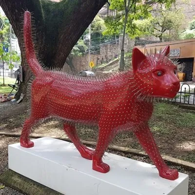 El Gato del Río 1
