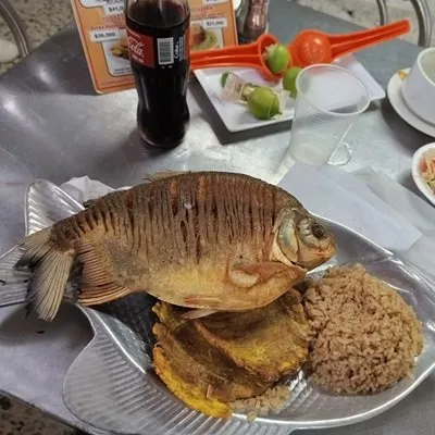 Seafood Market